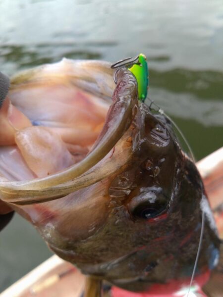 津久井湖初ボート