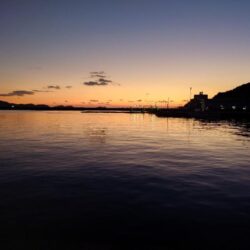 白甘鯛GETしたけど、渋かった