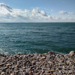 メジロ、ブリがヒット!東二見の飲ませ釣り