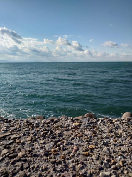 メジロ、ブリがヒット!東二見の飲ませ釣り