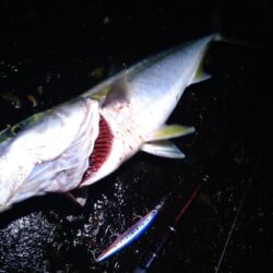 クリスマスプレゼント