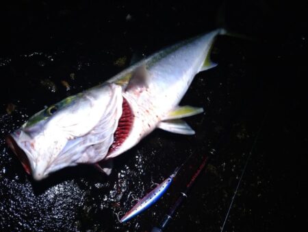 クリスマスプレゼント