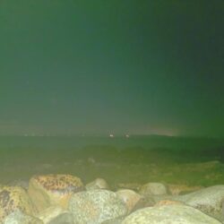 昼間の青物ノマセ釣りボウズからの夜間フロートアジング