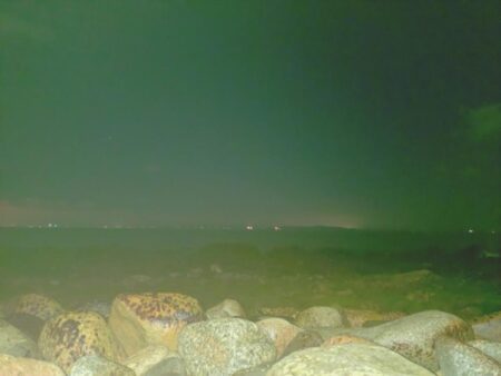 昼間の青物ノマセ釣りボウズからの夜間フロートアジング