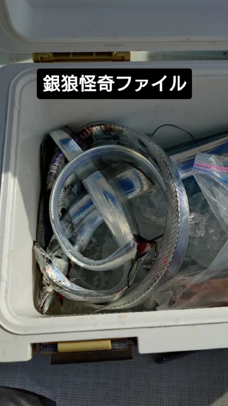 瀬戸内海船タチウオ(初)