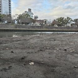 四魚種釣れました!