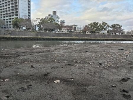 四魚種釣れました!