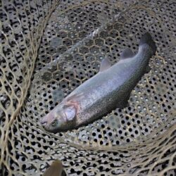 恒例の年末忘年釣行！