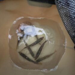 投げ釣り失敗!サビキもギリギリ