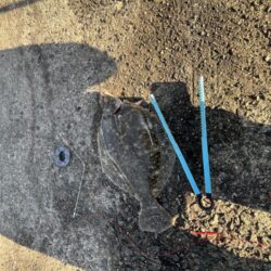 アジュール舞子埋蔵金レベル１