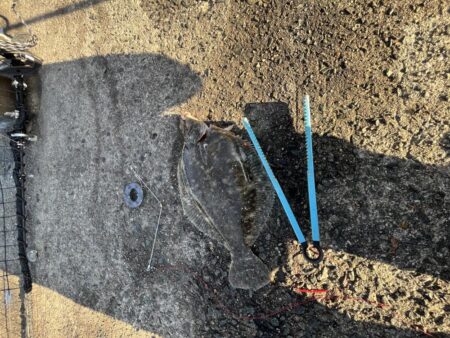 アジュール舞子埋蔵金レベル１