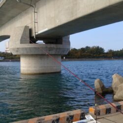 東二見の落ちギス調査