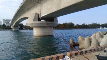 東二見の落ちギス調査