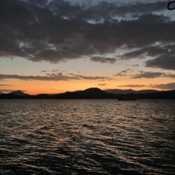 白杉ライトショアジギング