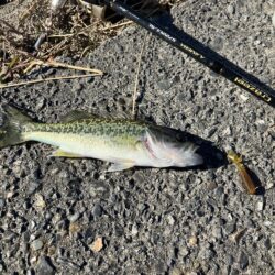 北湖漁港小バス祭り