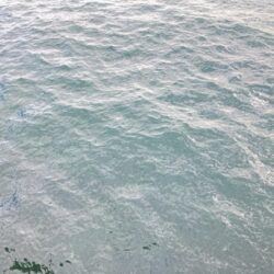 デジタルデトックス釣行