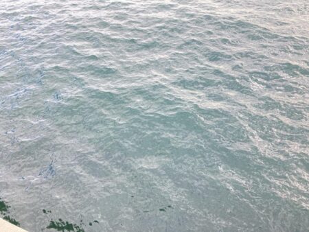 デジタルデトックス釣行