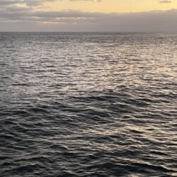 2025 佐渡ヶ島エギング Vol.61【11月29日】