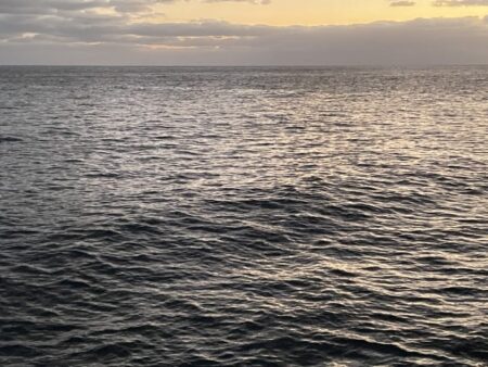 2025 佐渡ヶ島エギング Vol.61【11月29日】