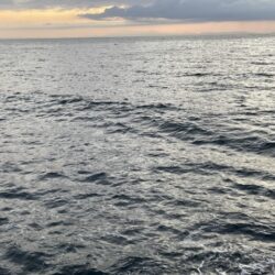 2025 佐渡ヶ島エギング Vol.62【11月30日】