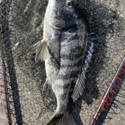 イチノ兄弟、釣果！