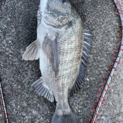 イチノ兄弟、釣果!