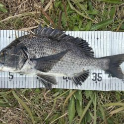 イチノ兄弟、釣果！