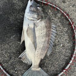 イチノ兄弟、釣果!