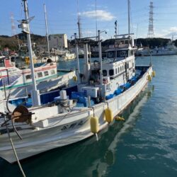 ティップランでイカ三昧