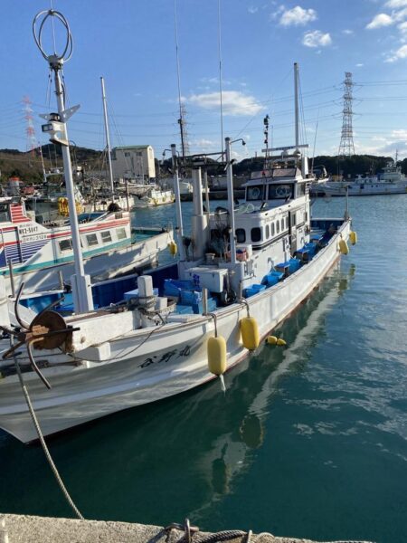 ティップランでイカ三昧