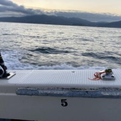 タイラバで冬鯛