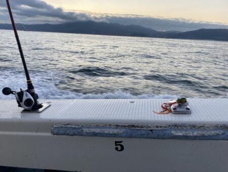 タイラバで冬鯛