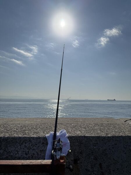 ショア青物終盤か