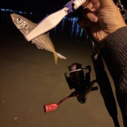 深夜釣行