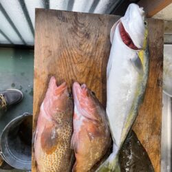 アジノマセは、安心