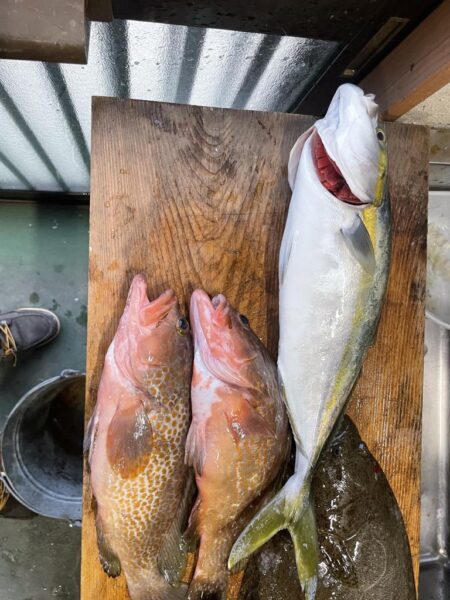 アジノマセは、安心