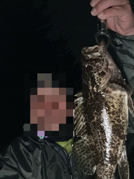 初尺メバル!(タケノコメバル)