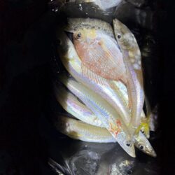 娘とちょい投げ釣り！