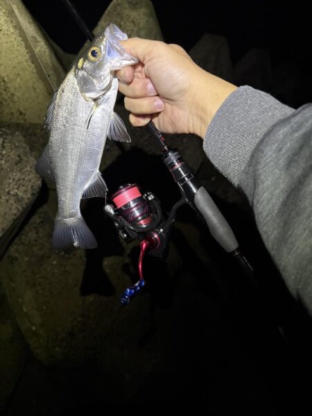 淡路の深夜釣行