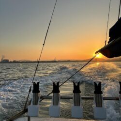 完全タチパターン!