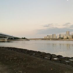 エビ撒きでチヌ