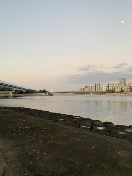 エビ撒きでチヌ