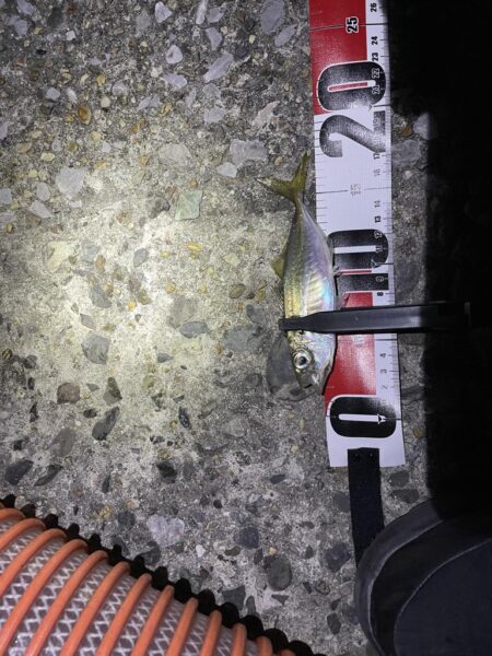 ひさびさ垂水漁港