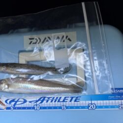 今年最後の釣り納め