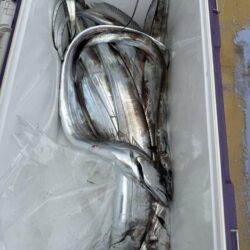 観音崎沖、タチウオジギング