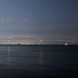 久しぶりのタコ釣り