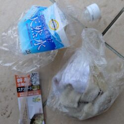 清掃活動：船カワハギ