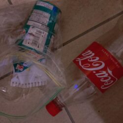 清掃活動：瀬戸内海船タチウオ（初）