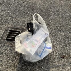 清掃活動：投げ釣り失敗！サビキもギリギリ