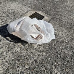 清掃活動：アジュール舞子埋蔵金レベル１